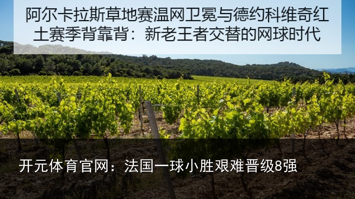 开元体育官网:法国一球小胜艰难晋级8强