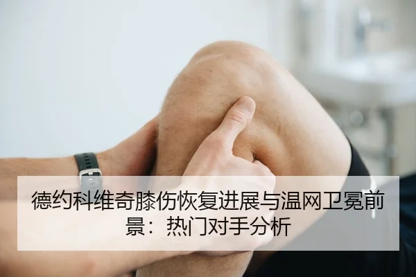de-yue-ke-wei-qi-xi-shang-hui-fu-jin-zhan-yu-wen-wang-wei-mian-qian-jing-re-men-dui-shou-fen-xi-3-542.jpg