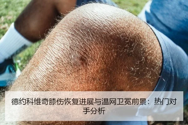 德约科维奇膝伤恢复进展与温网卫冕前景：热门对手分析