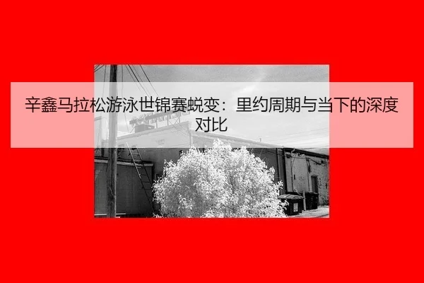xin-xin-ma-la-song-you-yong-shi-jin-sai-tui-bian-li-yue-zhou-qi-yu-dang-xia-de-shen-du-dui-bi-3-281.jpg