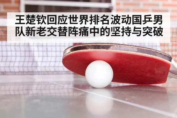 ping pong training